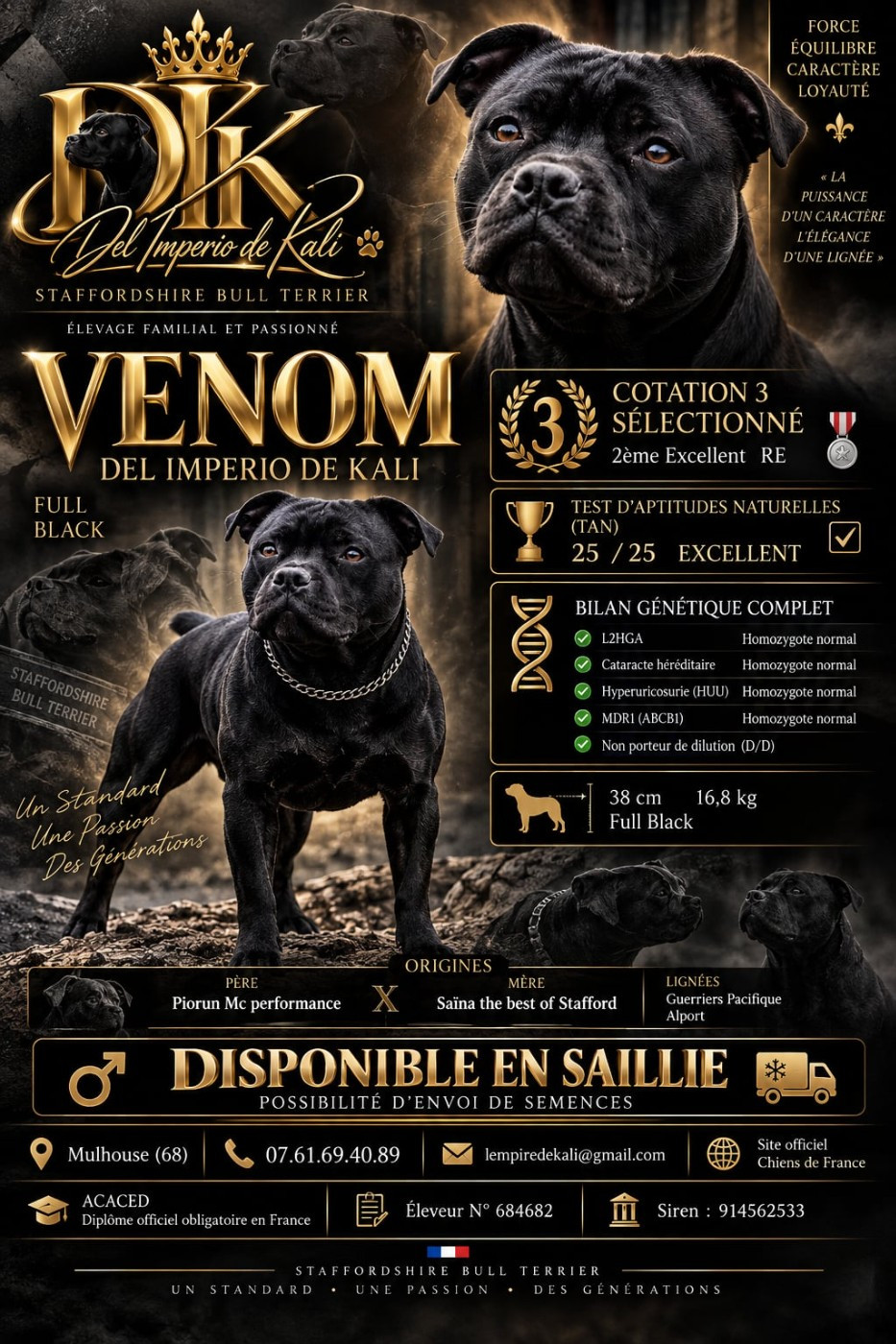 Venom