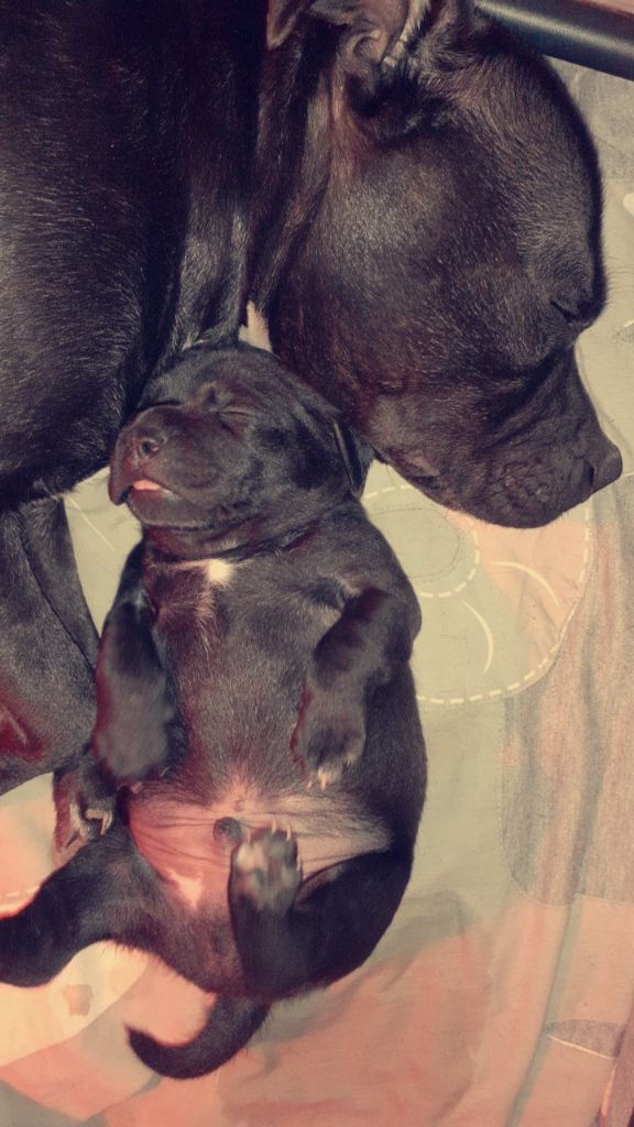 Nos bébés